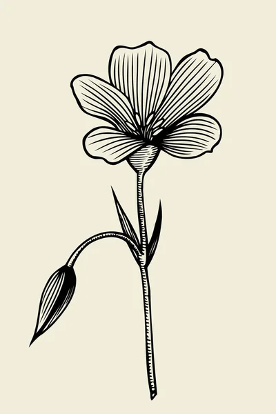 Schöne Blume isoliert — Stockvektor