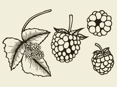 BlackBerry el çizilmiş kroki.