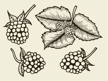 BlackBerry el çizilmiş kroki.