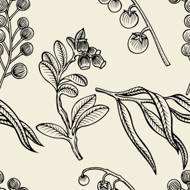 farklı meyveler ayarla