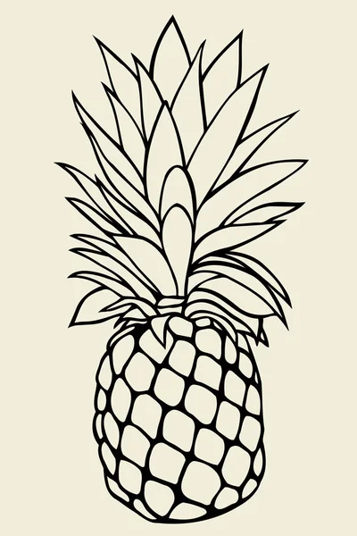 Ananasový vektor ilustrace — Stockový vektor