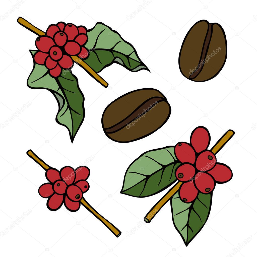 Dibujos Ramas De Cafe Café Rama Planta — Vector De Stock © Frescomovie 141576670