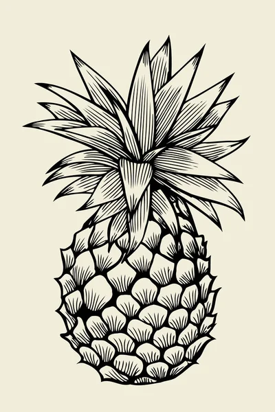 Ananas Vektor Illustration — Stockvektor