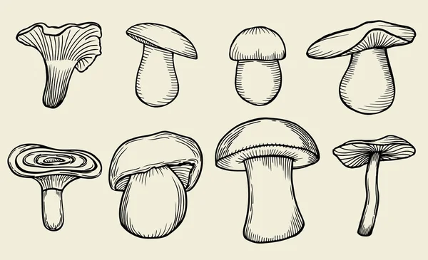 Penna fungo disegnato a mano — Vettoriale Stock