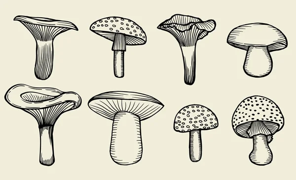 Hand-drawn vintage mushrooms — Stock Vector