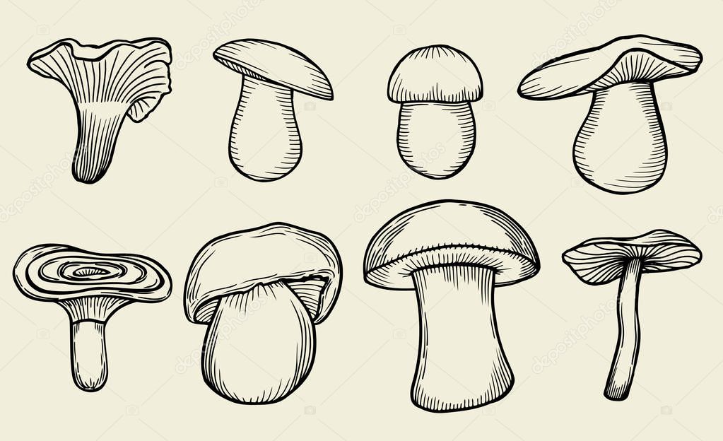 Pen mushroom hand drawn