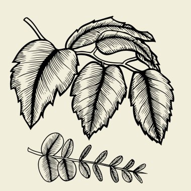 Elle çizilmiş dalları ve yaprakları