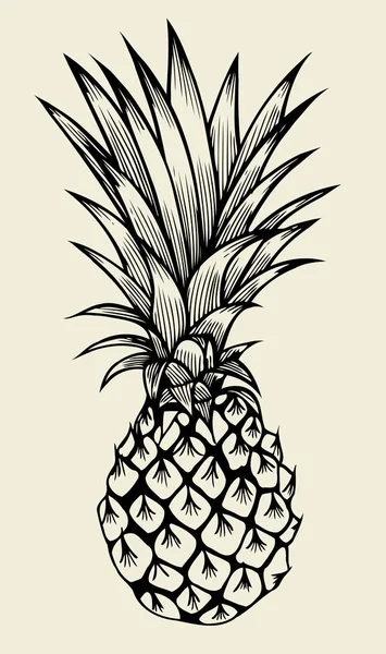 Ananas Vektor Illustration — Stockvektor
