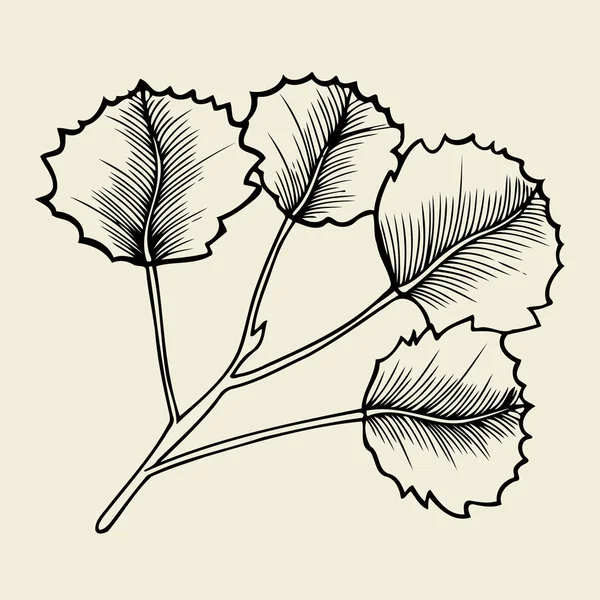 Elle çizilmiş dalları ve yaprakları — Stok Vektör