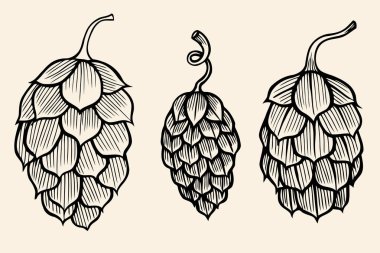 sebzeler enginar bej renkli arka plan üzerinde