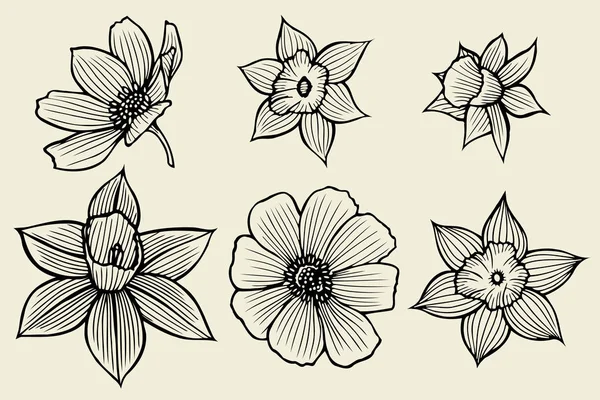 Set bloemen. — Stockvector