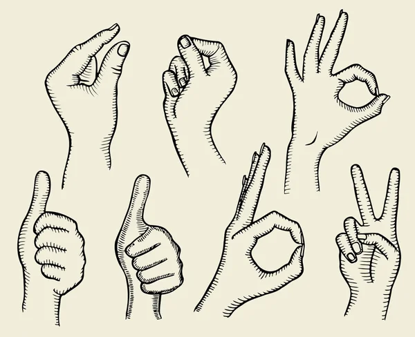 Uppsättning av fyra händer — Stock vektor