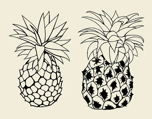Vector Sketch Pineapple — Stock Vector