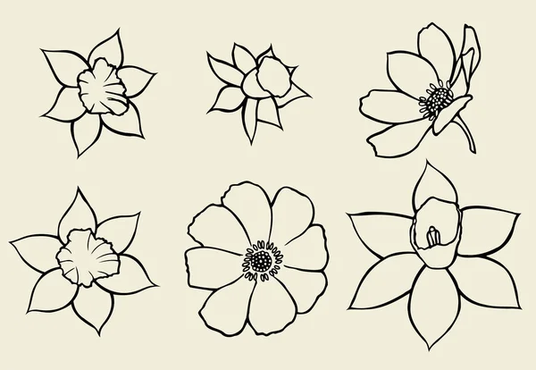 Calendula fleur isolée — Image vectorielle