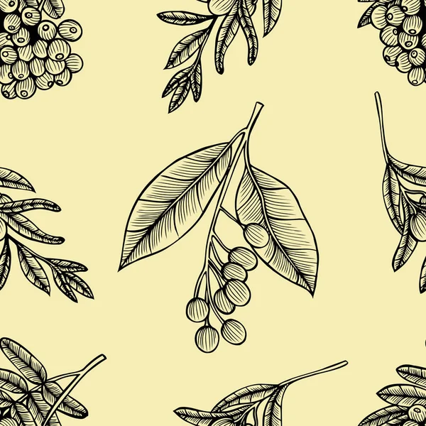 Rowan berry floral botany seamless pattern — Stock Vector