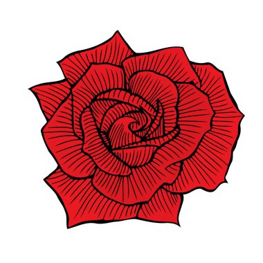 Elle çizilmiş kırmızı gül