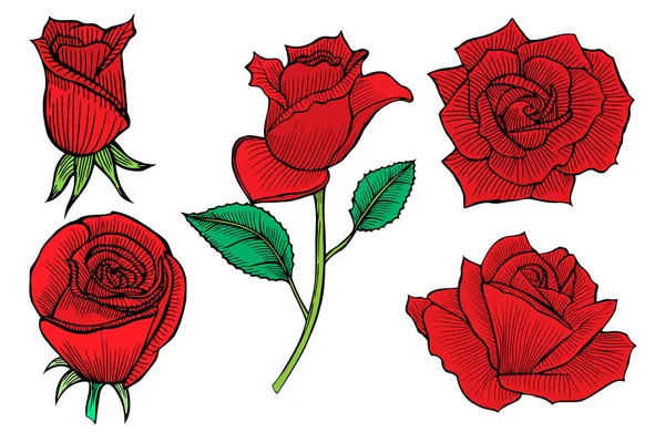 Conjunto de rosas rojas decorativas — Vector de stock