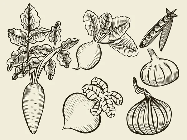 Vegetable Set Sketch — Stock Vector