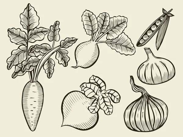 Ensemble de légumes Croquis — Image vectorielle