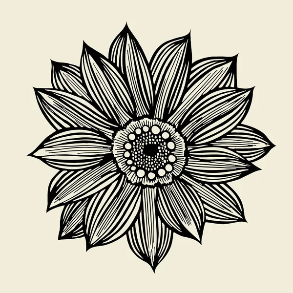 Croquis de fleurs sauvages — Image vectorielle