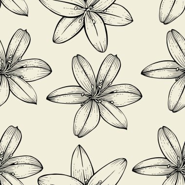 Lily çiçek deseni