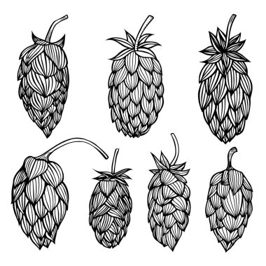 Stil oyma seti şerbetçiotu.