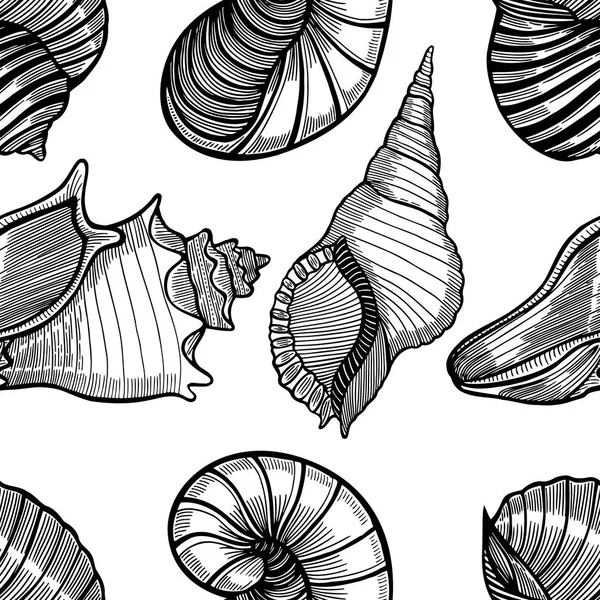 Бесшовный рисунок с морской раковиной — стоковый вектор