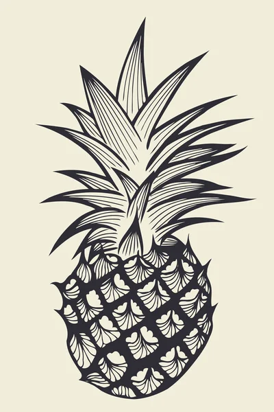 Ananasfrucht von Hand gezeichnet — Stockvektor
