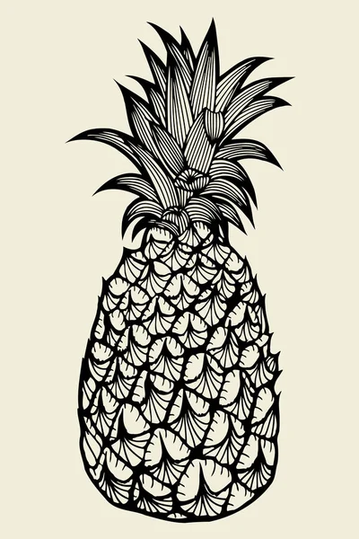 Pineapple fruit Hand drawn — Stock Vector