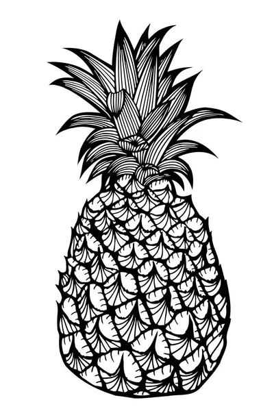 Tropical fruit pineapple. — Stock Vector