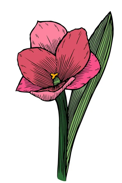 Flor dibujada a mano — Archivo Imágenes Vectoriales