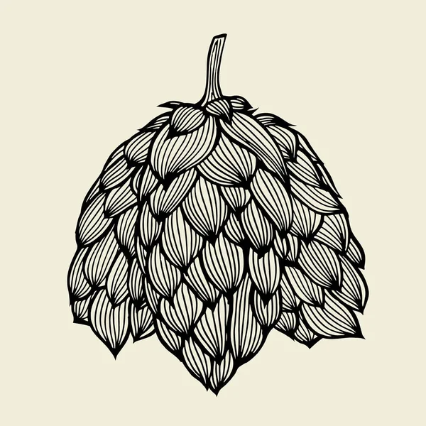 Bier hop illustratie — Stockvector