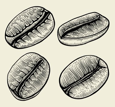 boyalı kahve çekirdekleri