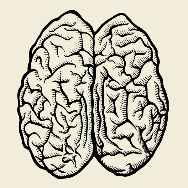 Vector dibujado a mano Cerebro humano — Vector de stock