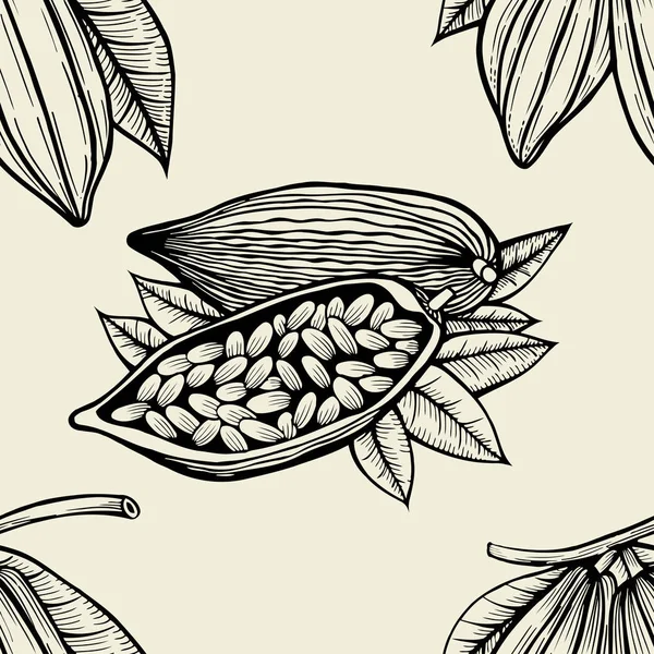 Листя і плоди бобів какао . — стоковий вектор