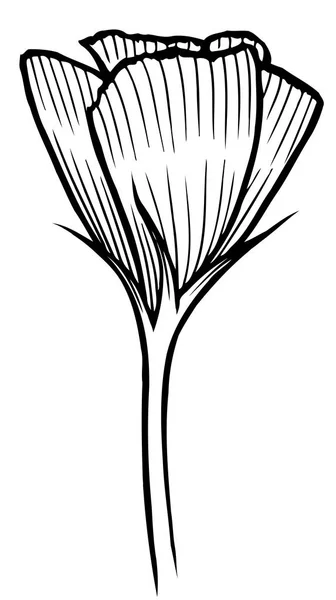 Lente bloem afbeelding — Stockvector