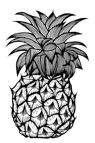 The pineapple sketch. — Stock Vector