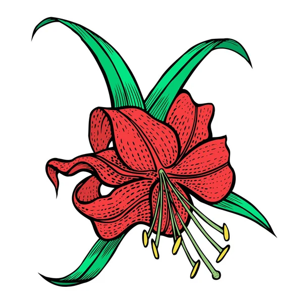 Composition de fleur rose — Image vectorielle