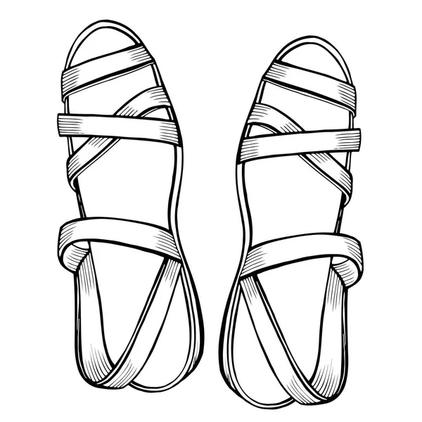 Zapatos en blanco — Vector de stock