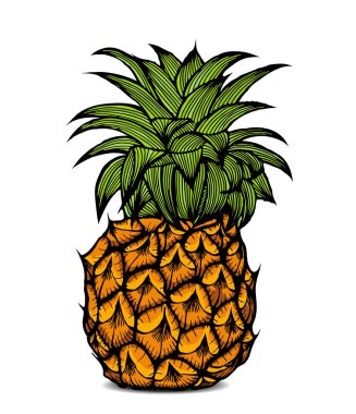 Ananas Meyve renkli