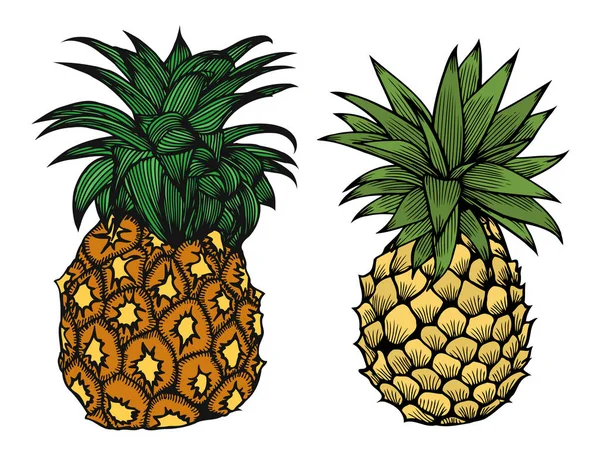 Cartoon pineapple fruit — Stock Vector