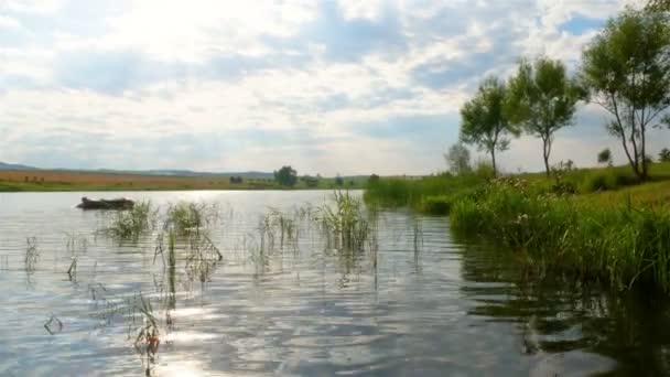 Sonniger Teich im Zeitraffer — Stockvideo