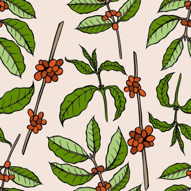 Kakao çekirdeği vektör seamless modeli