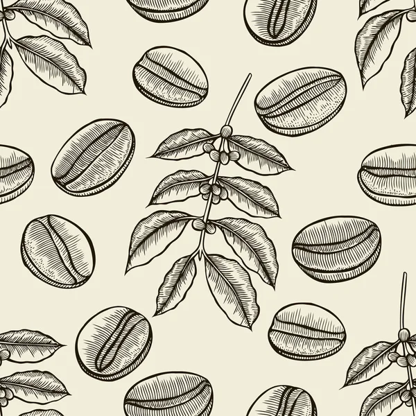 Филиалы кофейных деревьев — стоковый вектор
