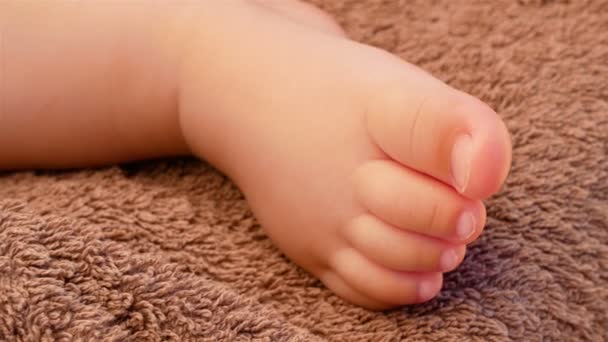 Close-up of feet of a newborn baby. — Stock Video