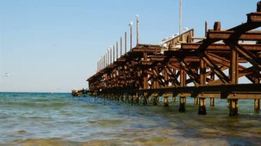 İskelede oturup martıları