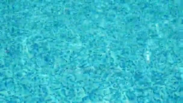 Water in a swimming pool — Stock Video