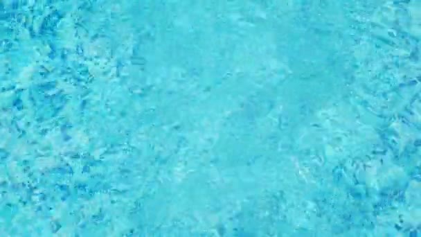 Piscine bleue — Video