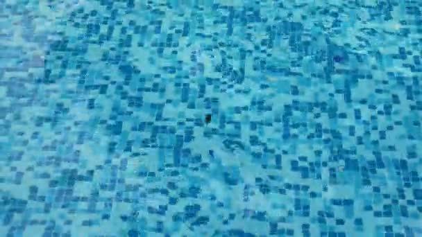 Blaues Schwimmbad — Stockvideo