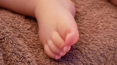 Bebek bacakları kahverengi bir paket üzerinde